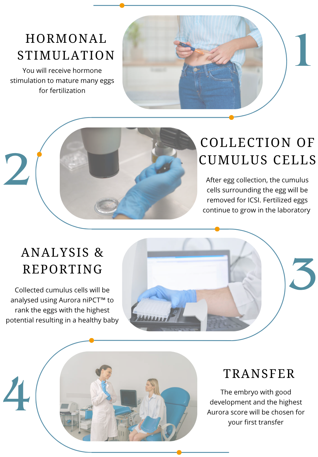 Explanation of Aurora niPCT procedure. First hormonal stimulation to the mother-to-be, then collection of cumulus cells after egg retrieval. At Fertiga  analysis of the cumulus cells is performed and Aurora report is sent with egg ranking. According to the report, the embryo from the best eggs is transferred first.
